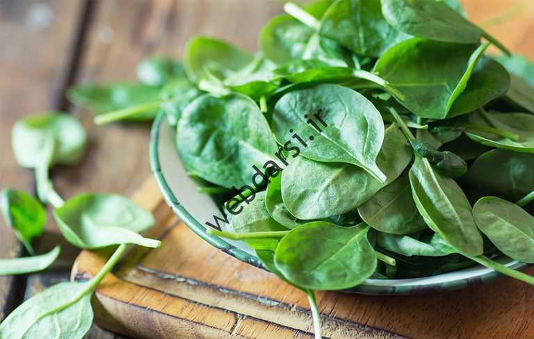 ۱۰ داد غذایی ییالم که از زلیک اسید سید سید