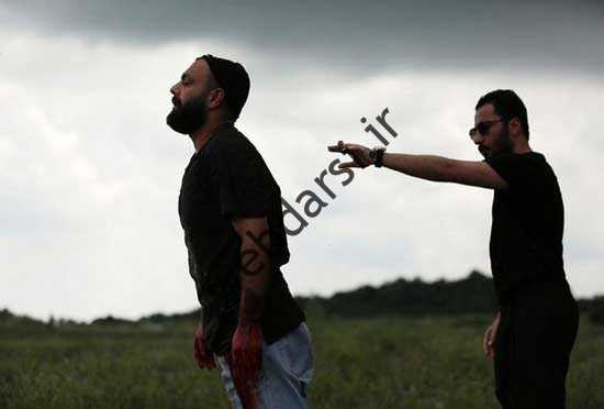 قورباغه پرحاشیه با ساختار راملا عجیب و وتاوت